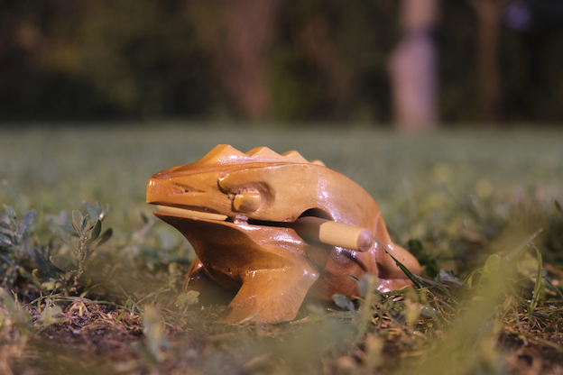 photo of a wooden frog on a lawn